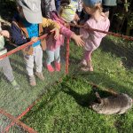 phoca_thumb_m_krteci a domzvata 13 Fotogalerie
